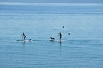 photo thumbnail #15