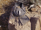 photo thumbnail #9