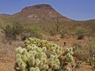 photo thumbnail #14