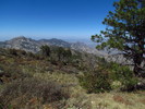 photo thumbnail #1