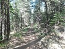 photo thumbnail #3