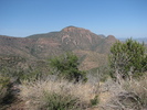 photo thumbnail #1