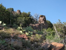 photo thumbnail #7