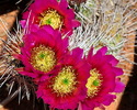 photo thumbnail #8