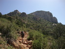 photo thumbnail #2