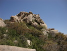 photo thumbnail #3