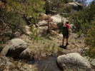 photo thumbnail #4