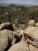 photo thumbnail #5