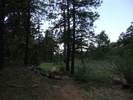 photo thumbnail #9