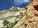 photo thumbnail #5