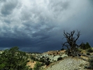 photo thumbnail #14