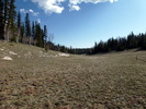 photo thumbnail #4