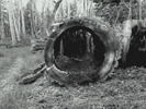 photo thumbnail #9