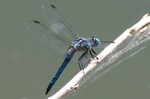photo thumbnail #3