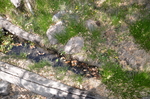 2012-05-15 :2: Pueblo Canyon Overlook via Murphy Ranch #141 :: glutz