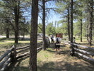 photo thumbnail #8