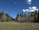 photo thumbnail #2