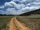 photo thumbnail #10