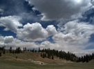 photo thumbnail #11