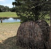 photo thumbnail #14