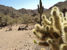 2012-05-13 :1: Sonoran Desert National Monument :: Outlander