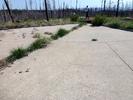 photo thumbnail #5