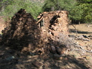 photo thumbnail #4