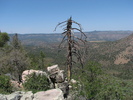 photo thumbnail #3
