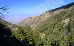 photo thumbnail #15