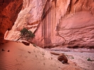 photo thumbnail #13