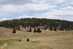 photo thumbnail #13