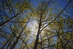 photo thumbnail #14