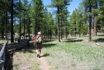 photo thumbnail #13