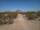 photo thumbnail #11