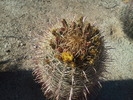 photo thumbnail #15