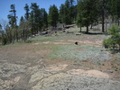 photo thumbnail #2