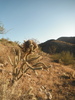 photo thumbnail #7