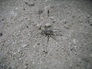 photo thumbnail #14