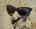 photo thumbnail #9
