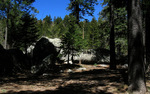 photo thumbnail #14