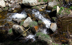photo thumbnail #13
