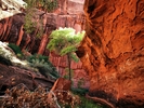 photo thumbnail #13