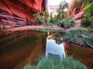 photo thumbnail #14