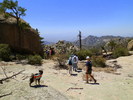 photo thumbnail #1