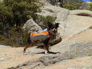 photo thumbnail #4