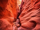 photo thumbnail #11