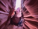 photo thumbnail #12