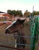 photo thumbnail #13