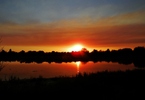 photo thumbnail #14