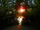 photo thumbnail #11